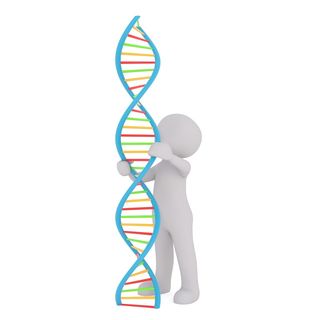 The DNA of Successful Teams